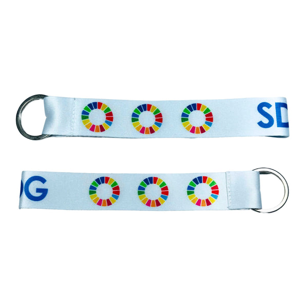 可持续发展目标 SDG 第2版
