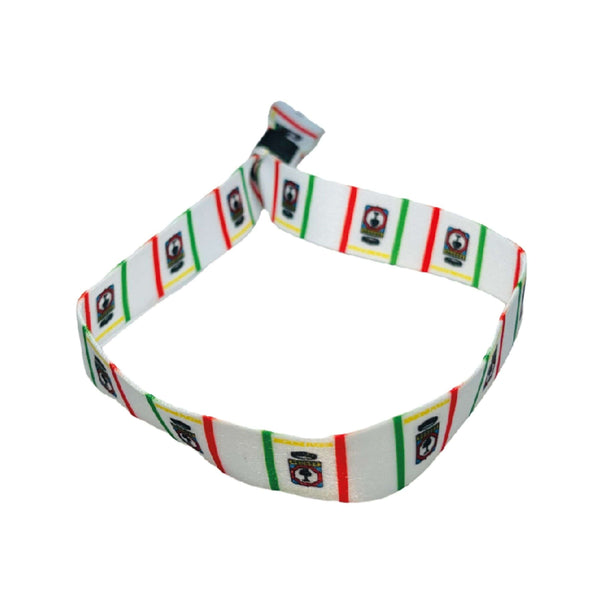 プーリア州旗 – イタリア