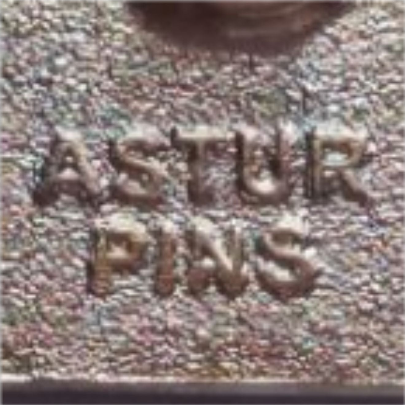 Rückseite des Pins mit Markenstempel