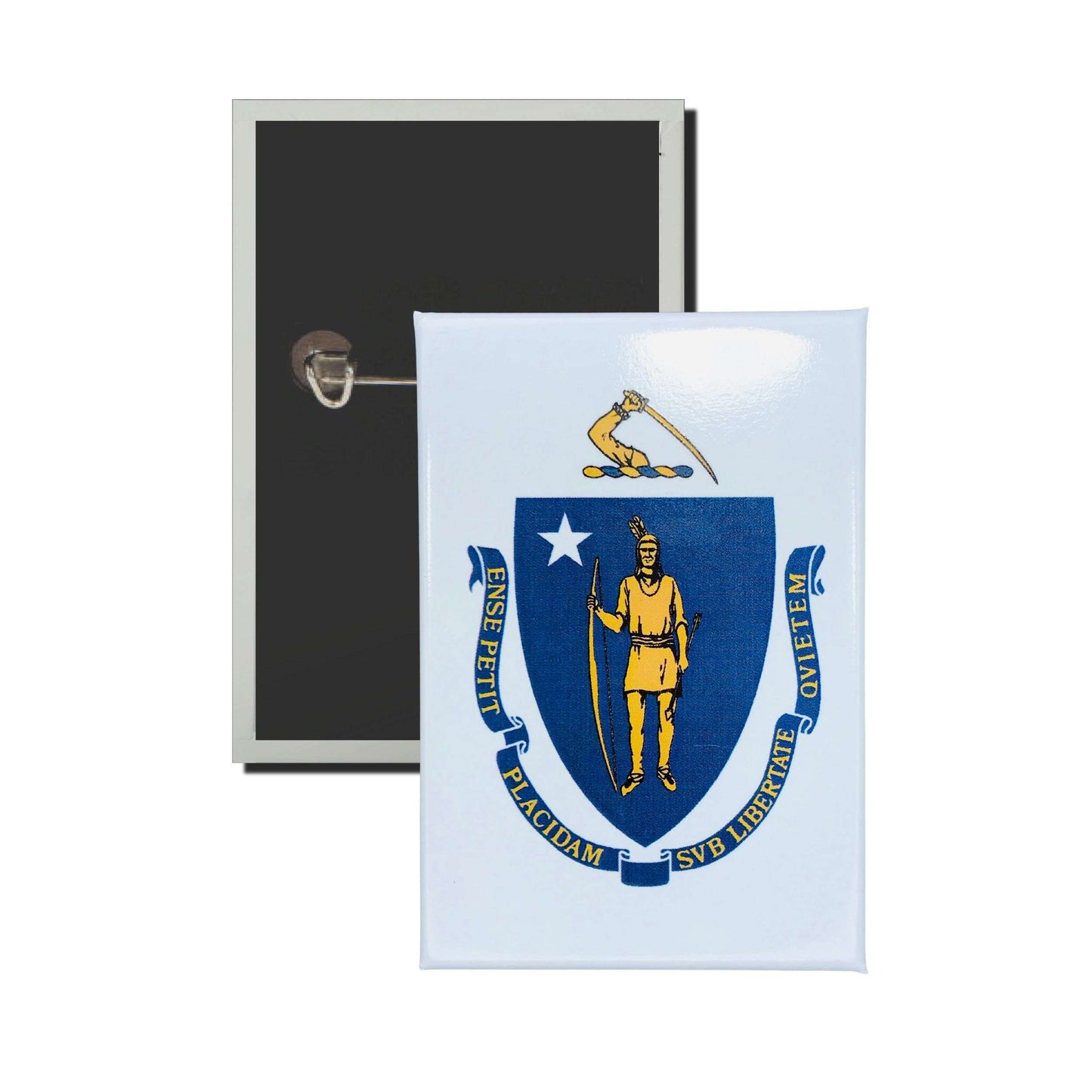 Chapa Rectangular Vertical Bandera Estado Massachusetts Usa