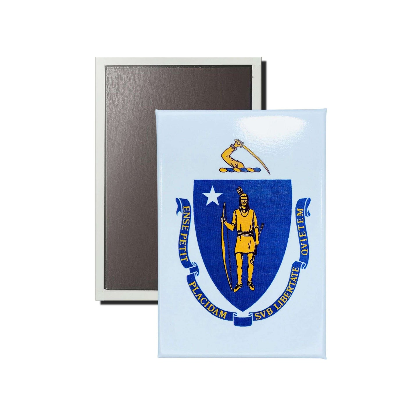 Iman Rectangular Vertical Bandera Estado Massachusetts Usa