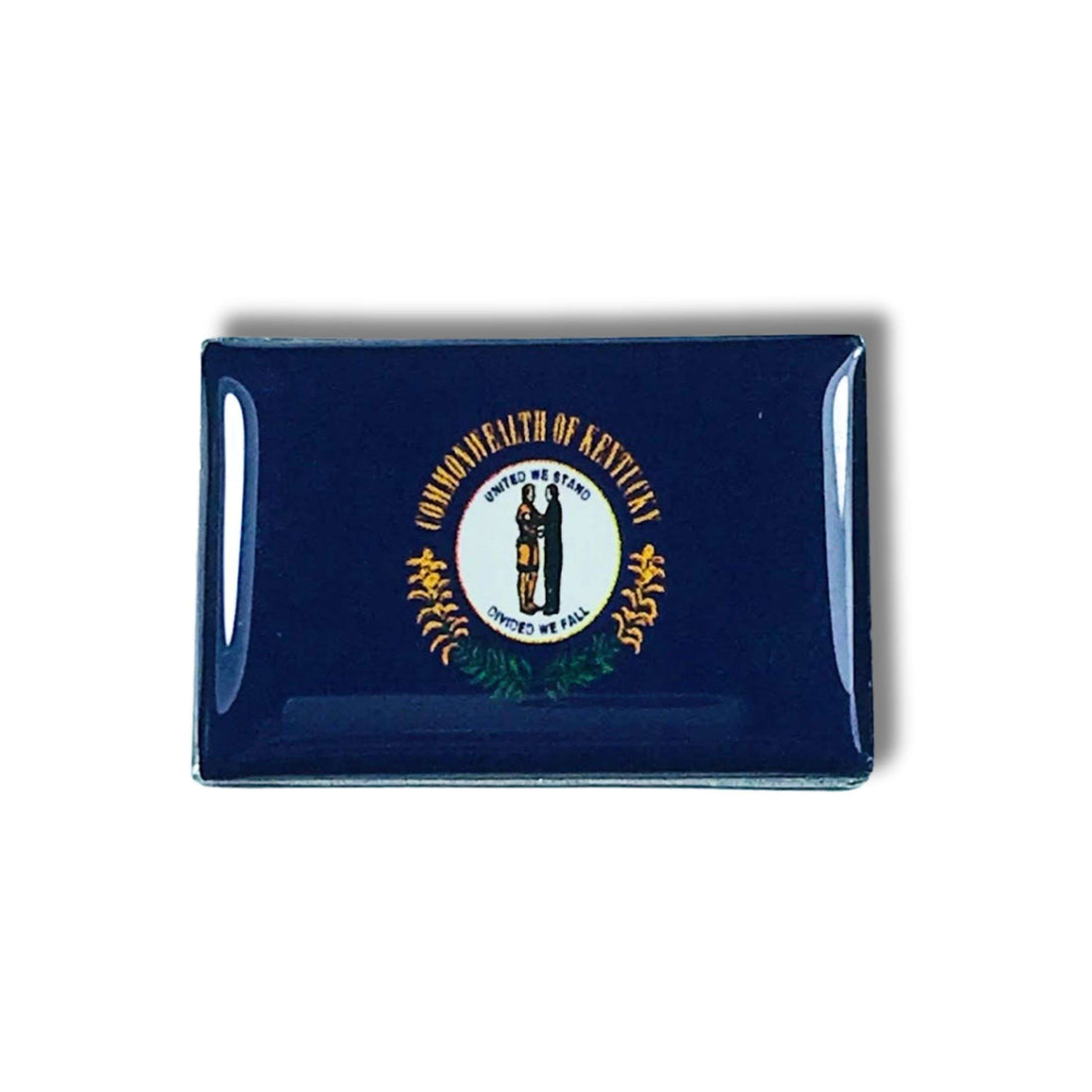 Pin - Bandeira do Estado do Kentucky - EUA