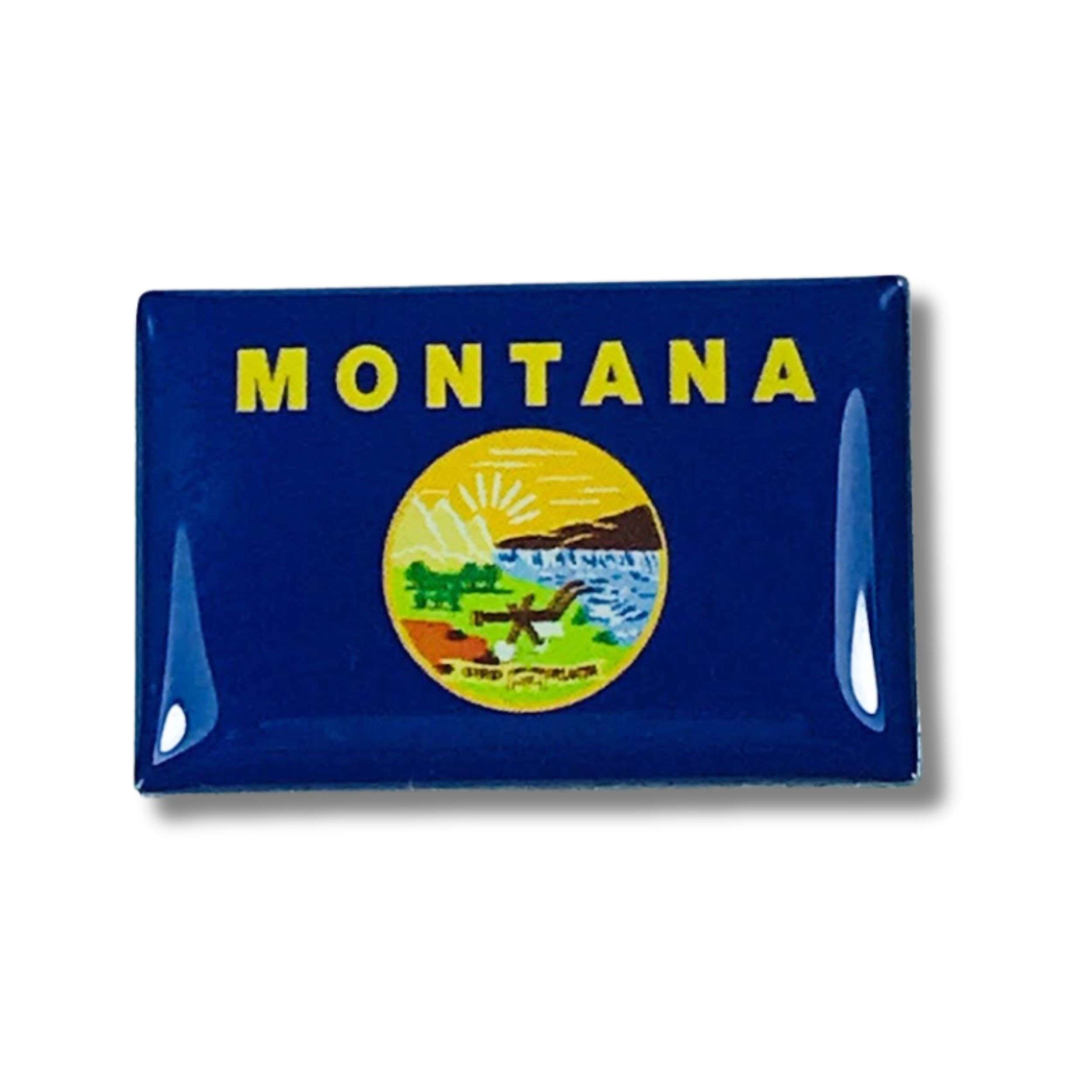 Pin Bandera Estado Montana Usa