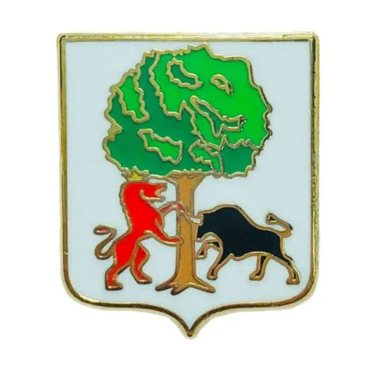 Pin Escudo Aia Guipuzcoa Espana