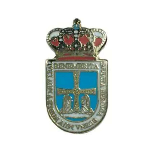 Pin Escudo Concejo Oviedo Asturias Espana
