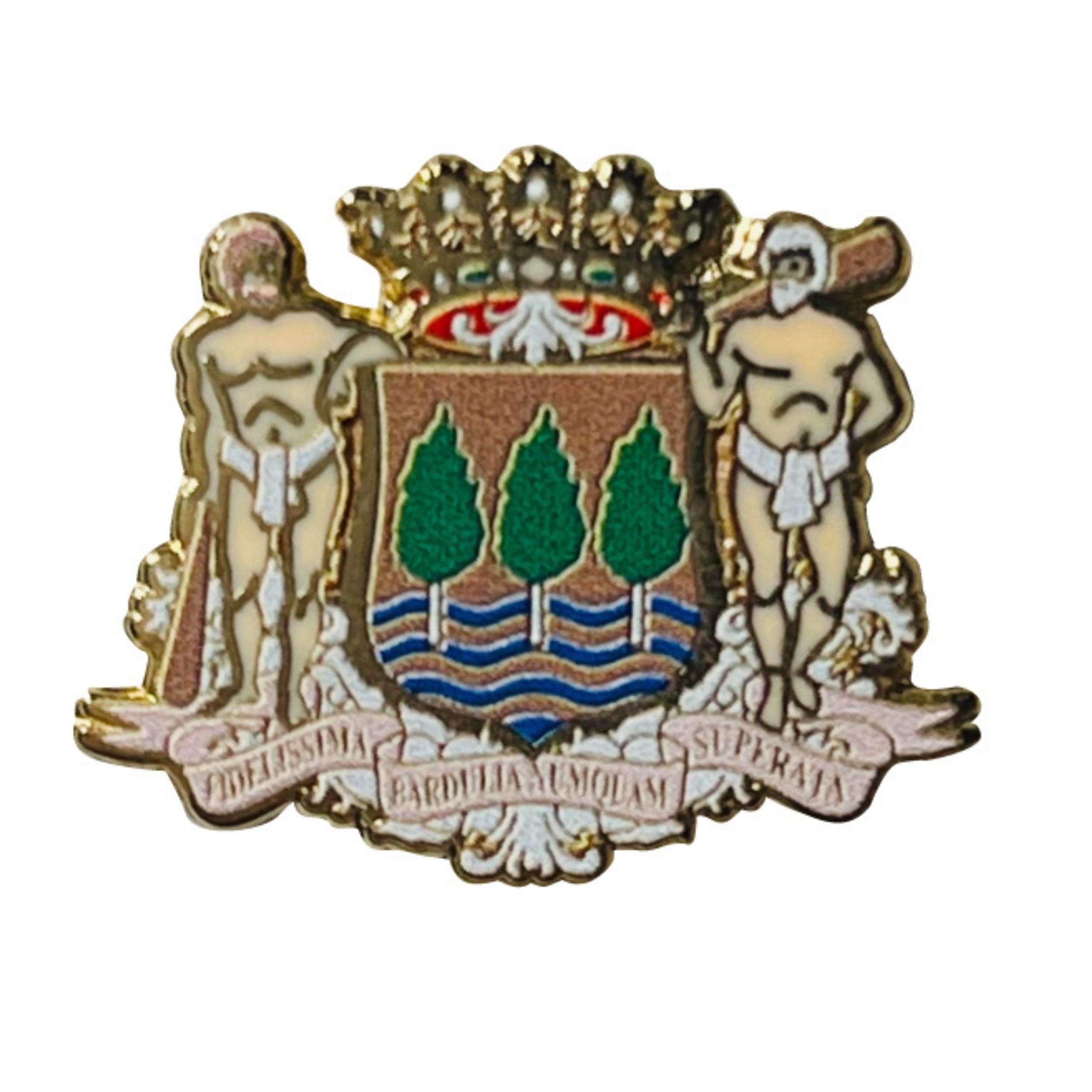 Pin Escudo Guipuzkoa Actual Guipuzcoa Espana