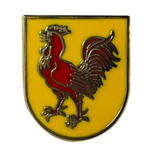 Pin Escudo Orexa Guipuzcoa Espana