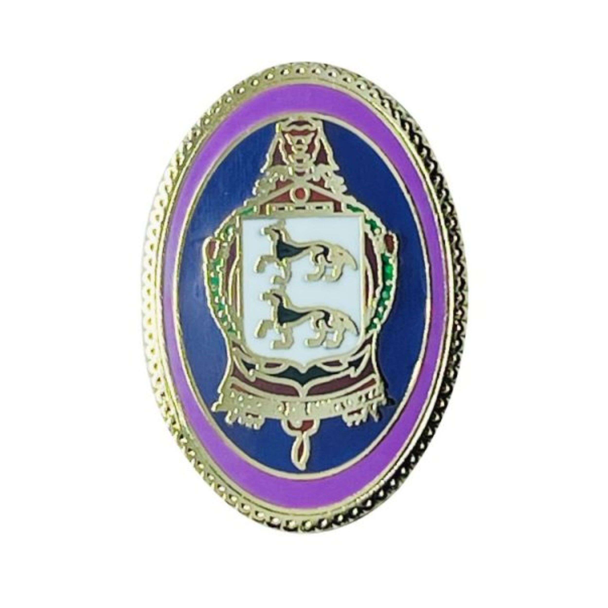 Pin Escudo Santurtzi Historico Vizcaya Espana