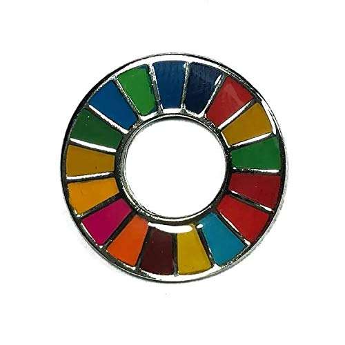 Pin Ods Objectifs de développement durable ODD Agenda 2030 - Objectifs de l'Agenda 2030 Nations Unies