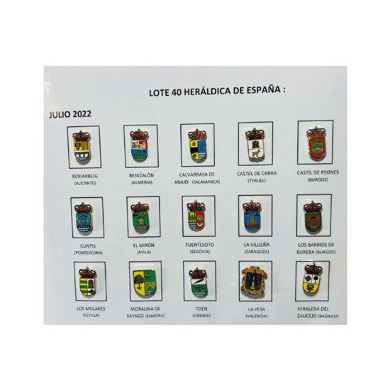 Pins Lote No40 Escudos Heraldicos Espana