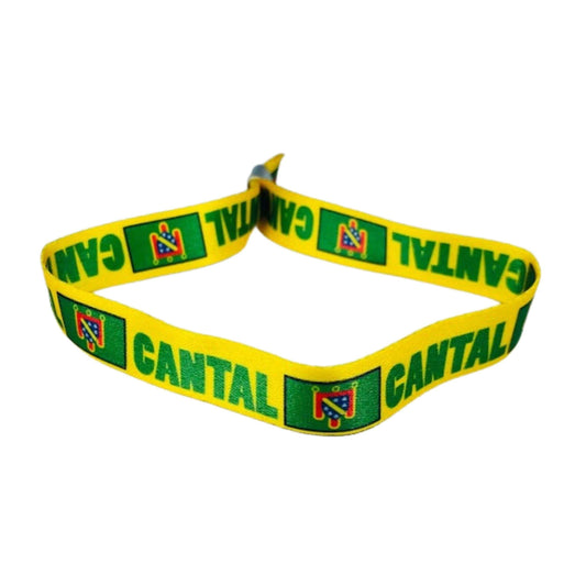 Pulsera Bandera De Cantal Francia P1599