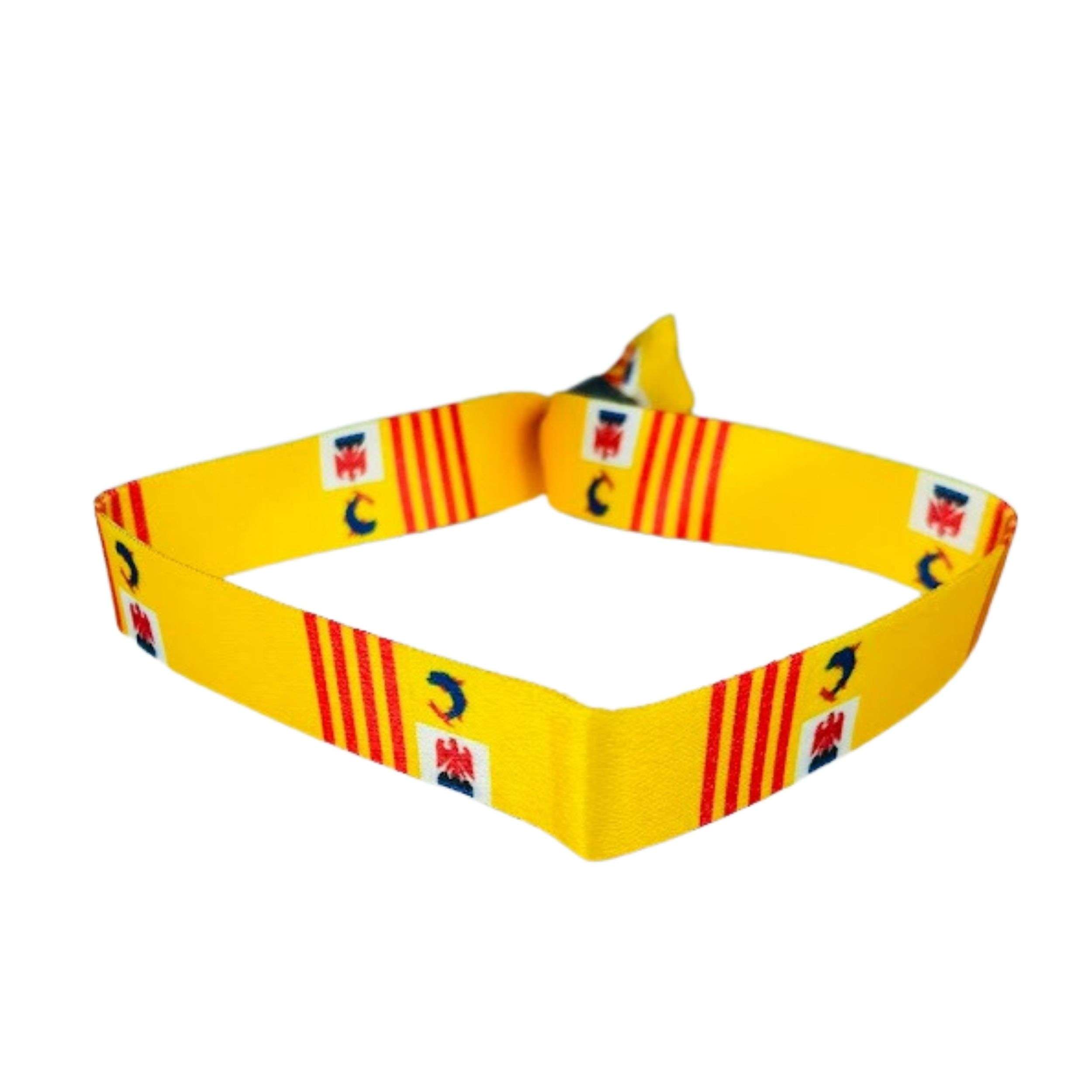 Pulsera Bandera De Provence Alpes Cote Dazur Francia P1538