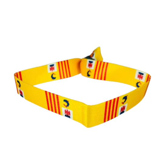 Pulsera Bandera De Provence Alpes Cote Dazur Francia P1538