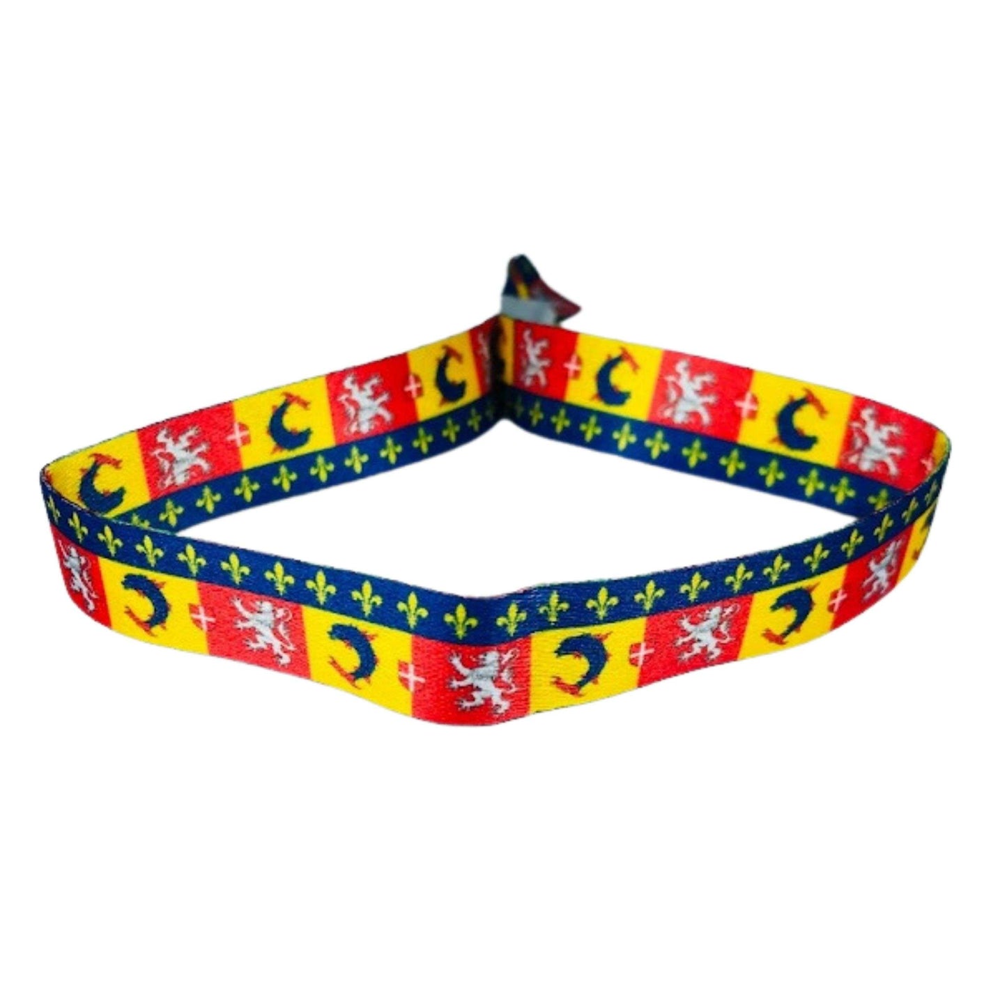 Pulsera Bandera De Rhone Alpes Francia P1531