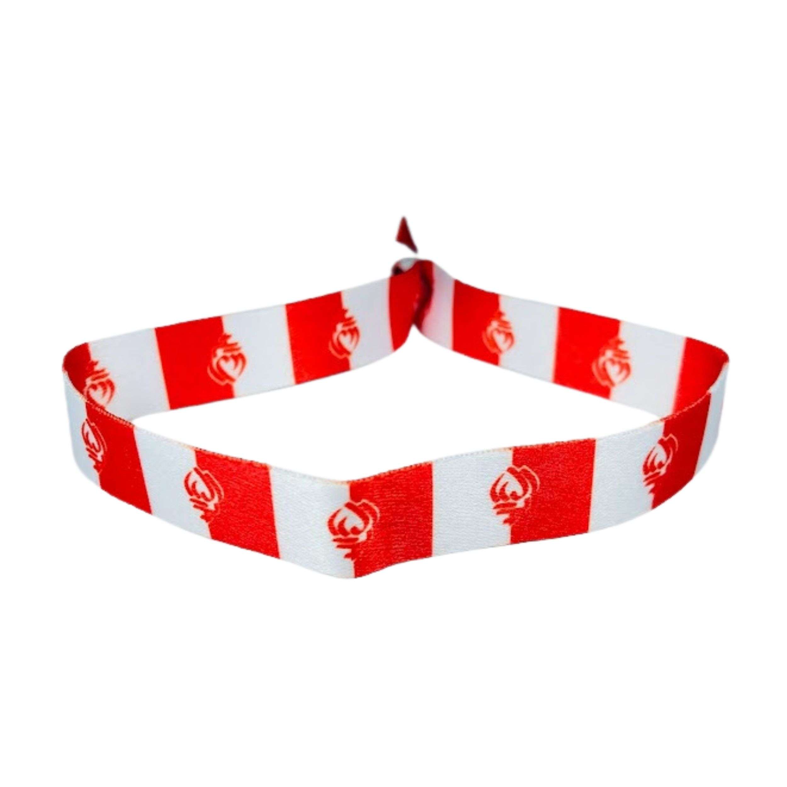 Pulsera Bandera De Vendee Francia P1570