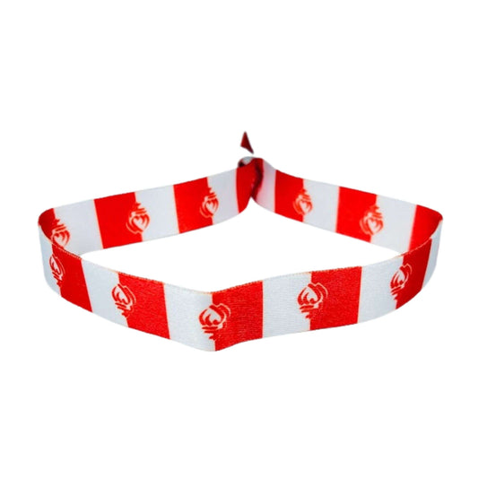 Pulsera Bandera De Vendee Francia P1570