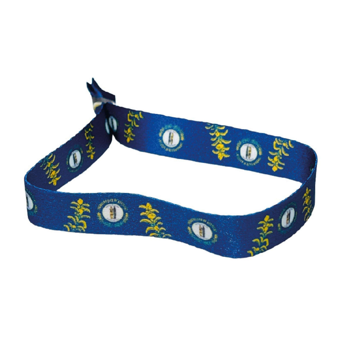 Pulseira - Bandeira do Estado do Kentucky - EUA - P1900