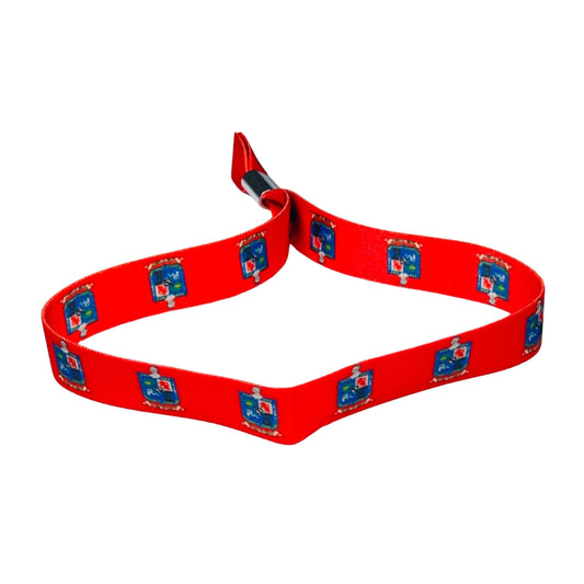 Pulsera Escudo De Nuevo Leon Mexico P2561