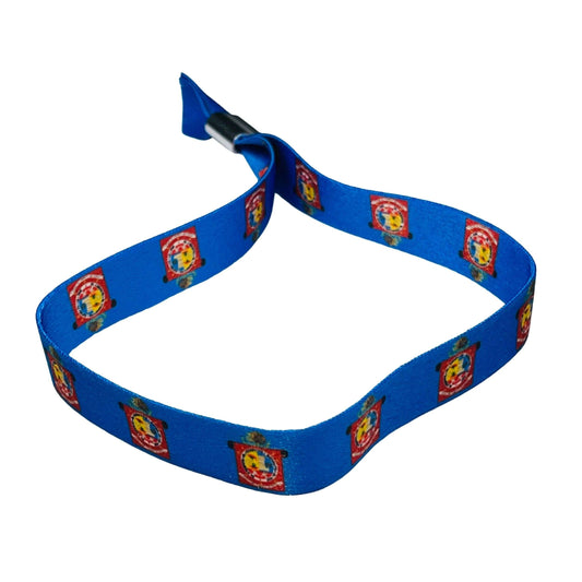 Pulsera Escudo De Oaxaca Mexico P2564