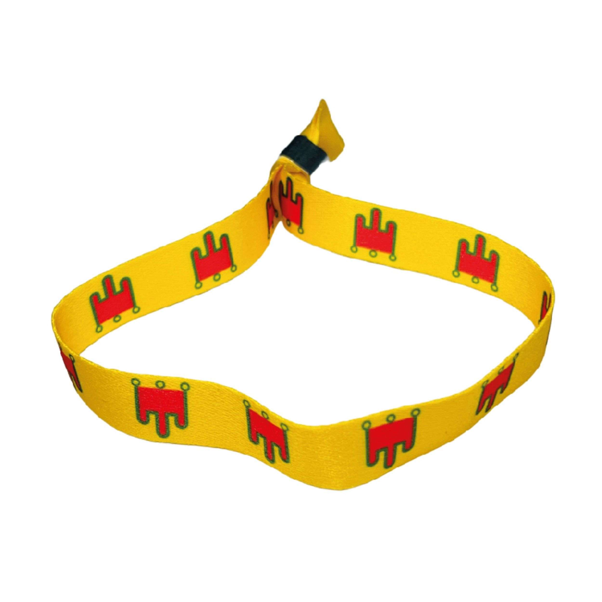 Pulsera – Bandera De Auvergne – Francia – P1620