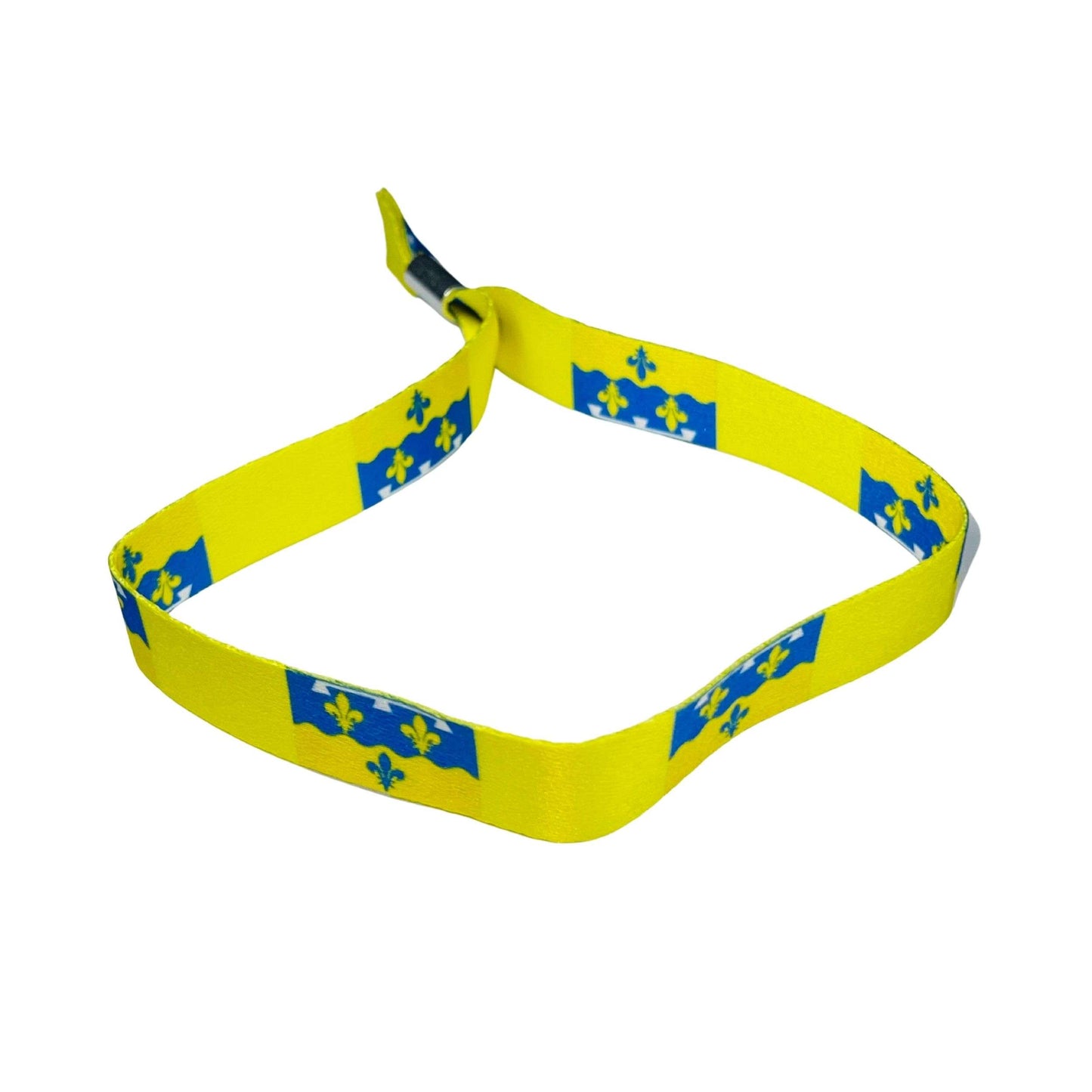 Pulsera – Bandera De Loire Francia – P1603