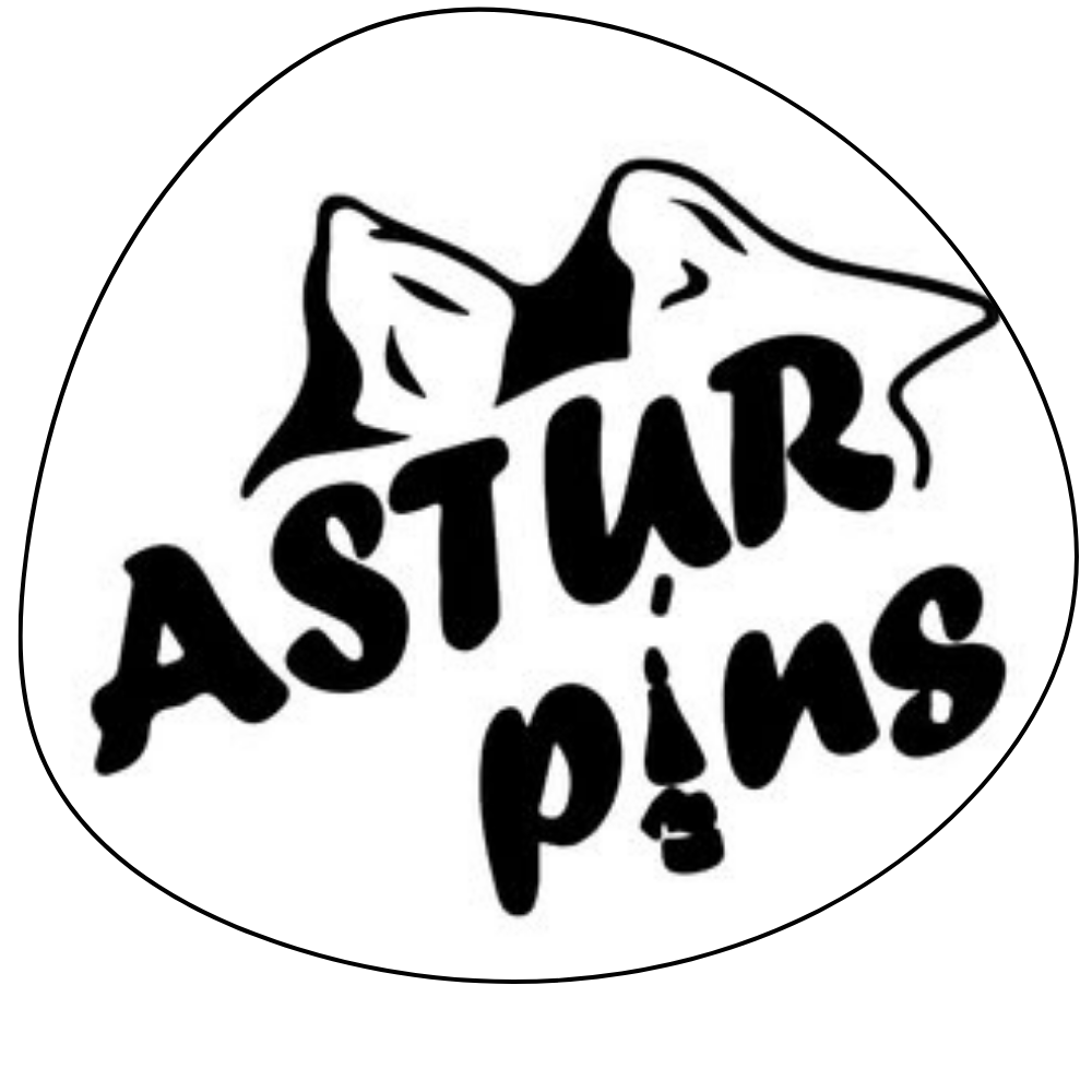 Astur Pins, marca de souvenirs de Astur Marketing S.L. en Gijón