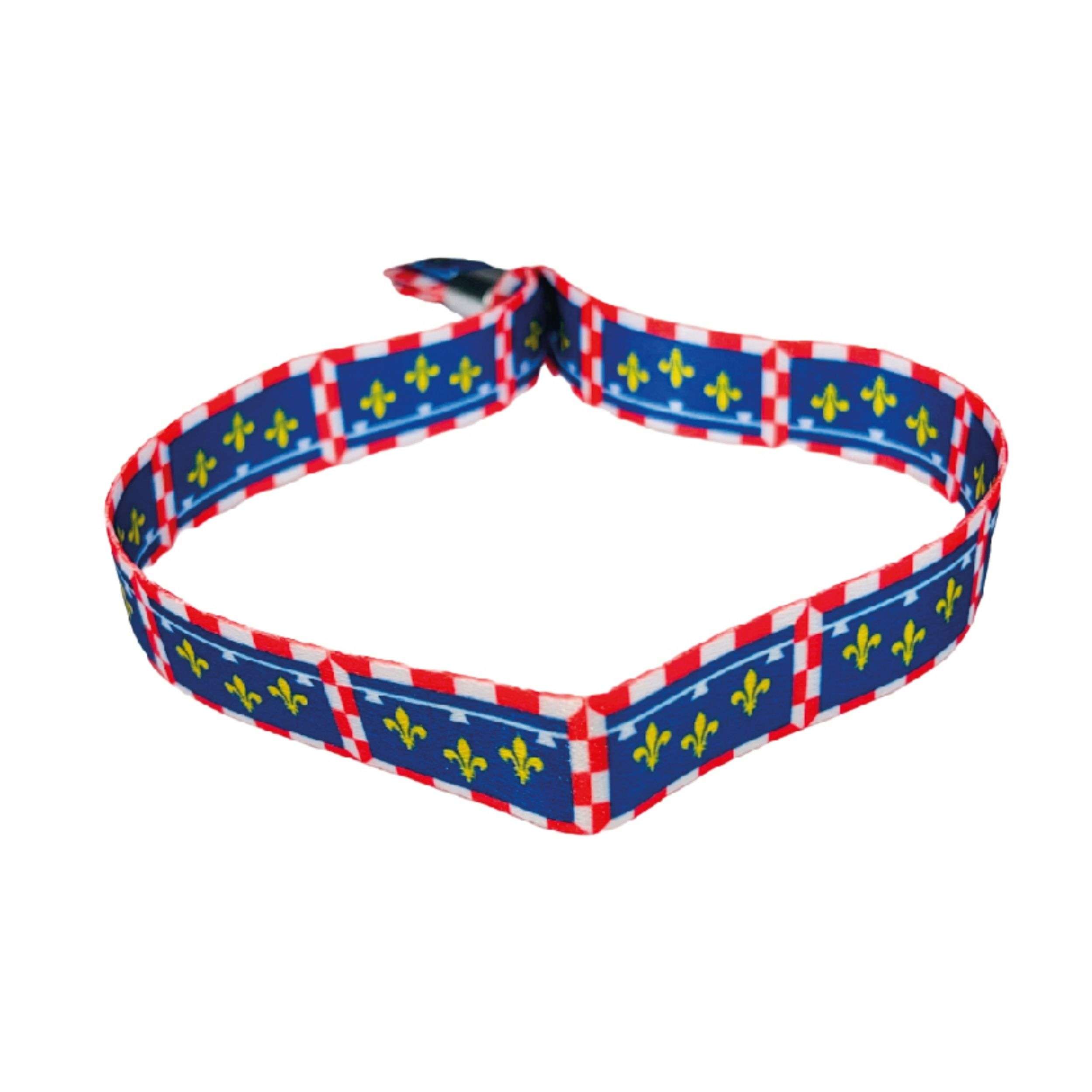 PULSERA BANDERA DE CENTRE VAL DE LOIRE – FRANCIA – P1488