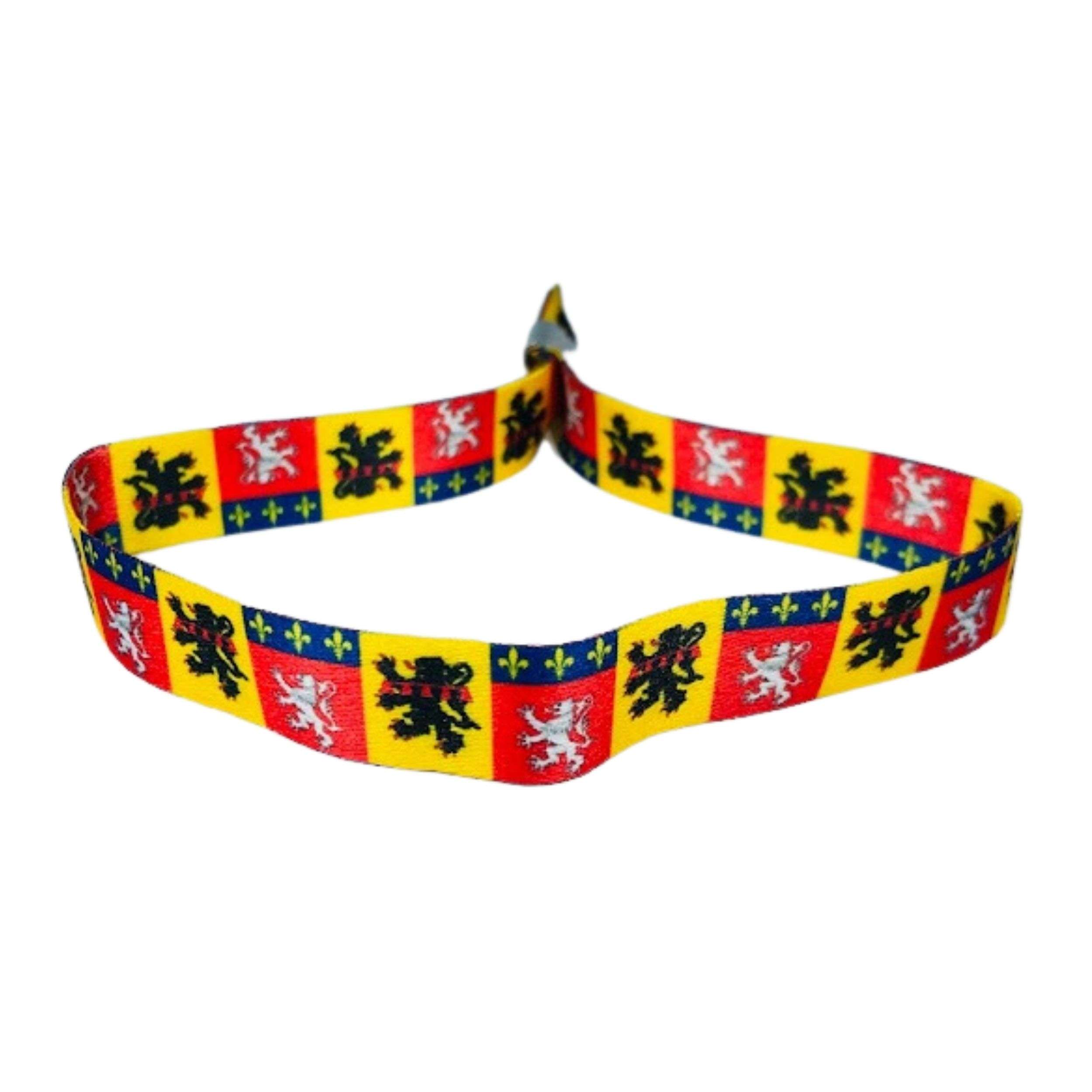 PULSERA BANDERA DE RHODE ALPES FRANCIA P1535